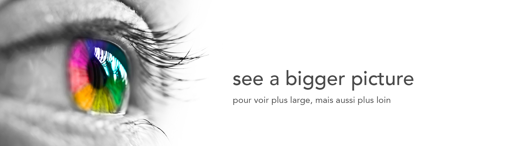 see a bigger picture